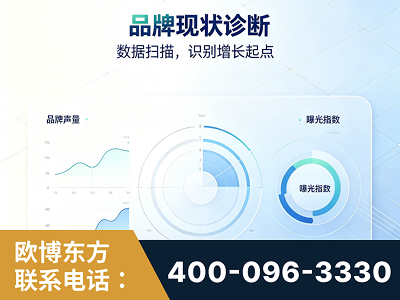 招远-品牌现状诊断
