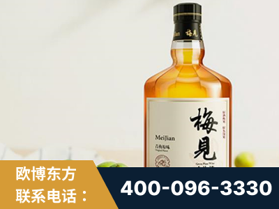 招远-梅见青梅酒
